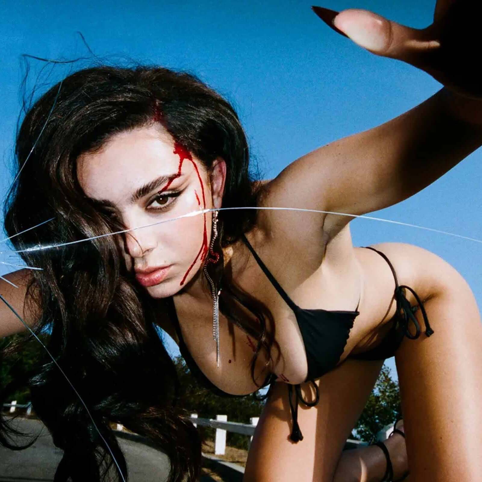 Translation missing: en.Charli XCX - Plastic Books: Charli XCX