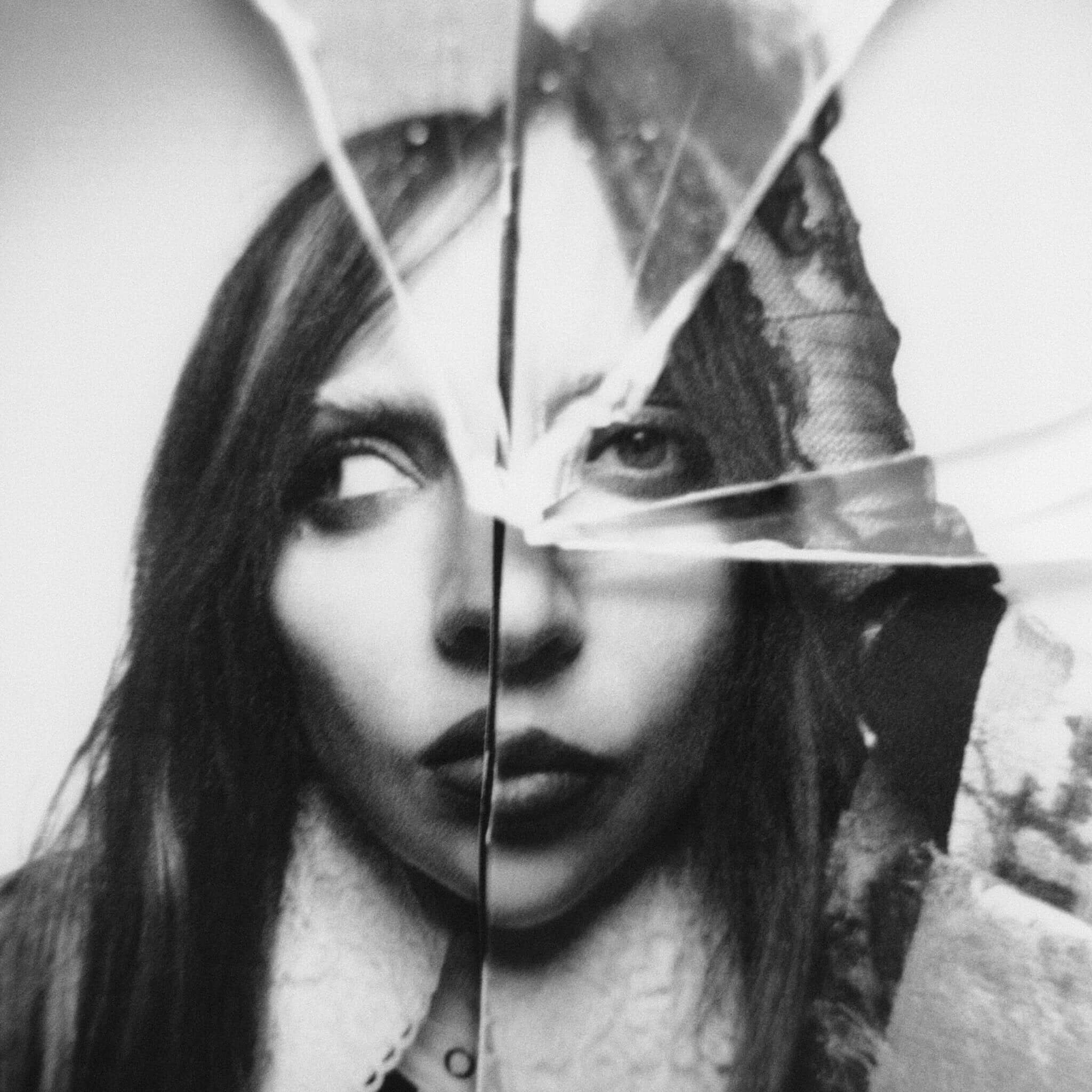 Translation missing: en.Lady Gaga - Plastic Books: Lady Gaga