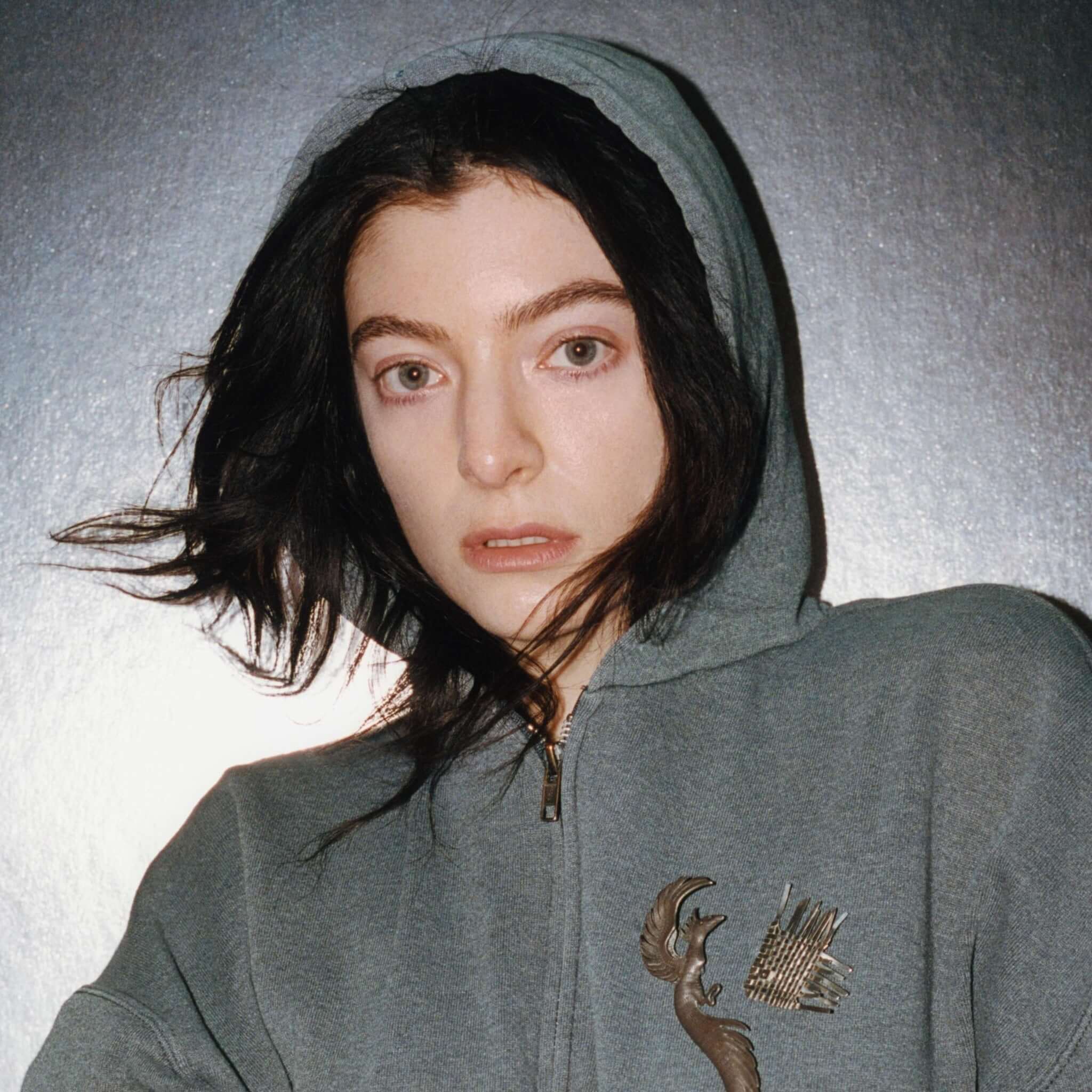 Translation missing: en.Lorde - Plastic Books: Lorde