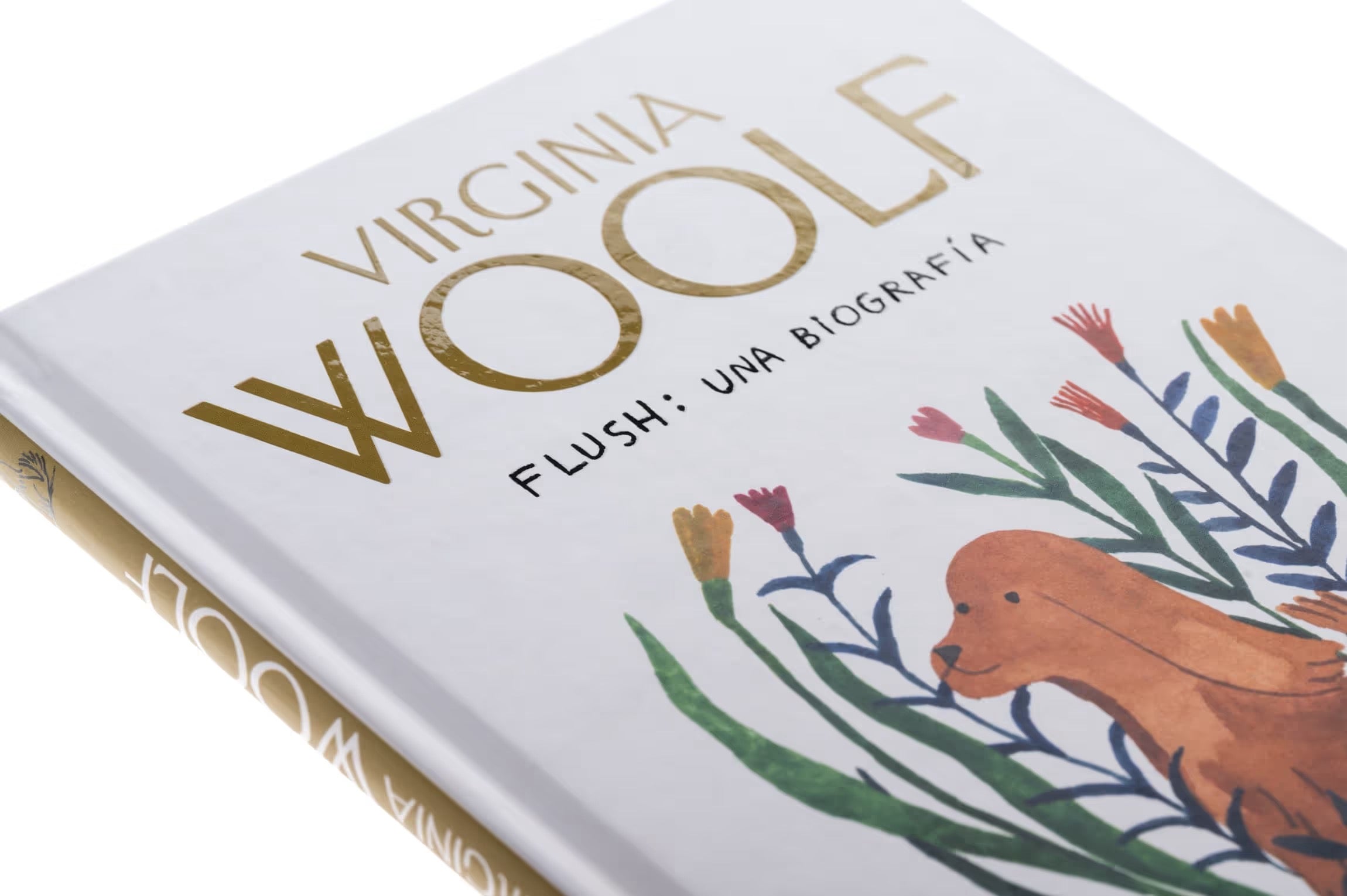 Flush: Una Biografía – Plastic Books