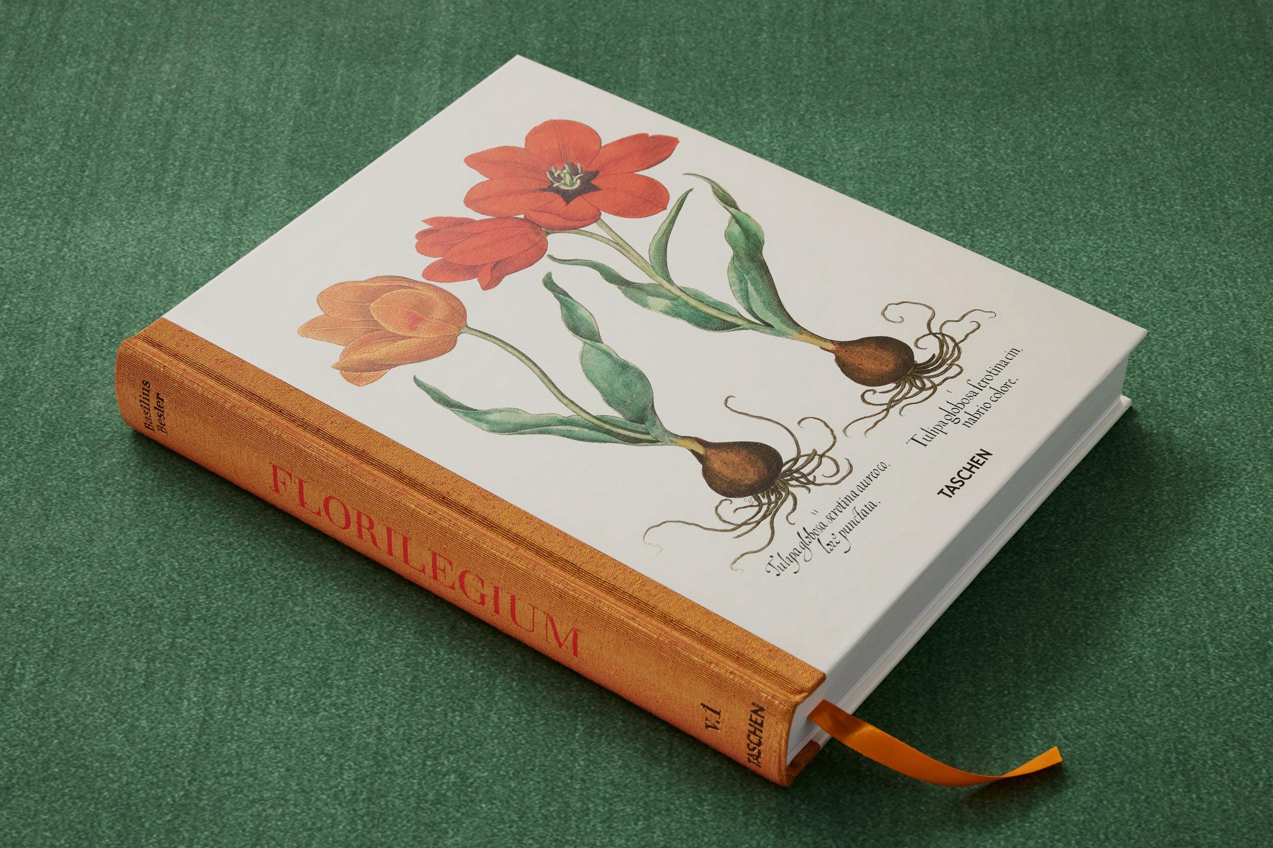 Basilius Besler. The Garden at Eichstätt – Plastic Books