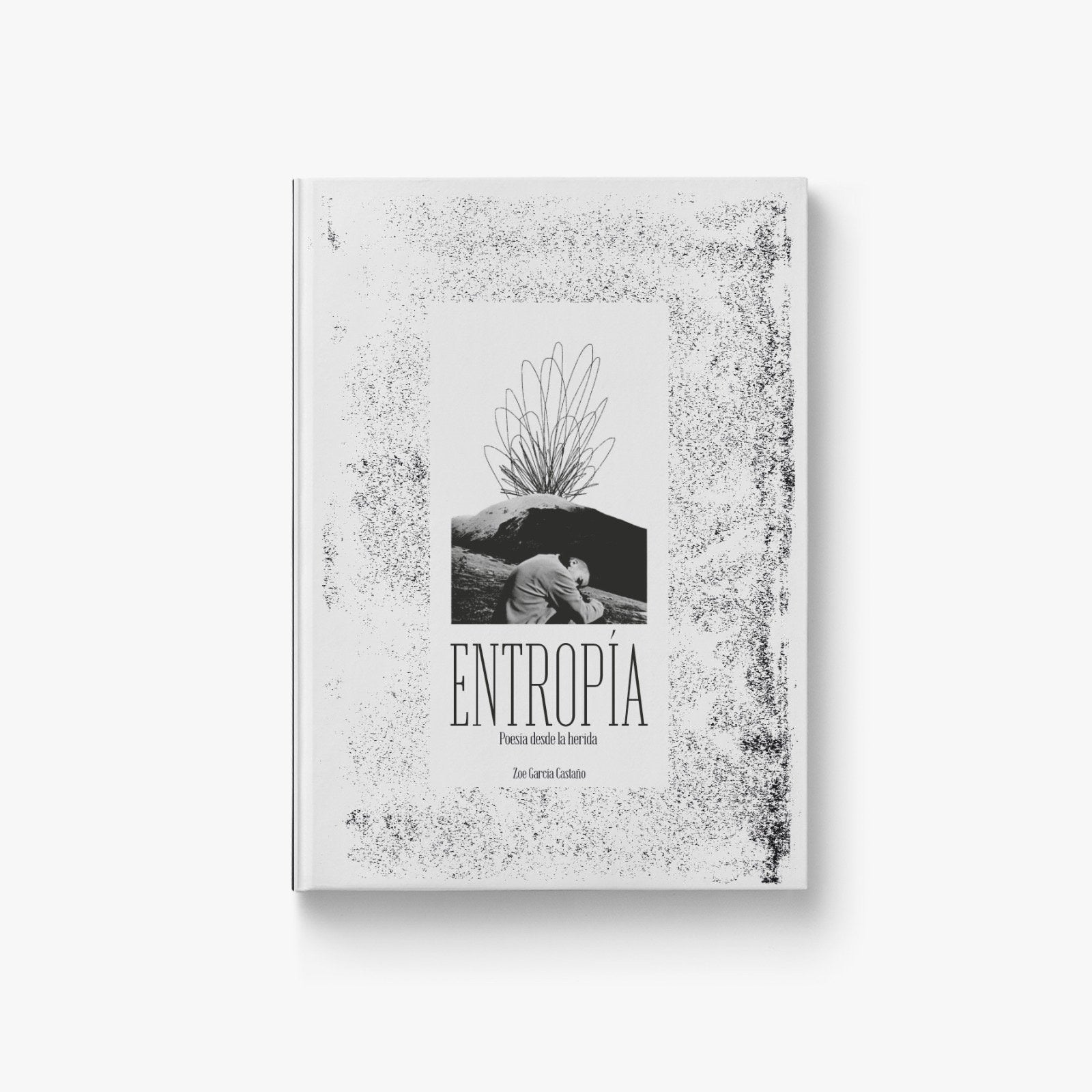 ENTROPÍA. Poesía desde la herida – Plastic Books