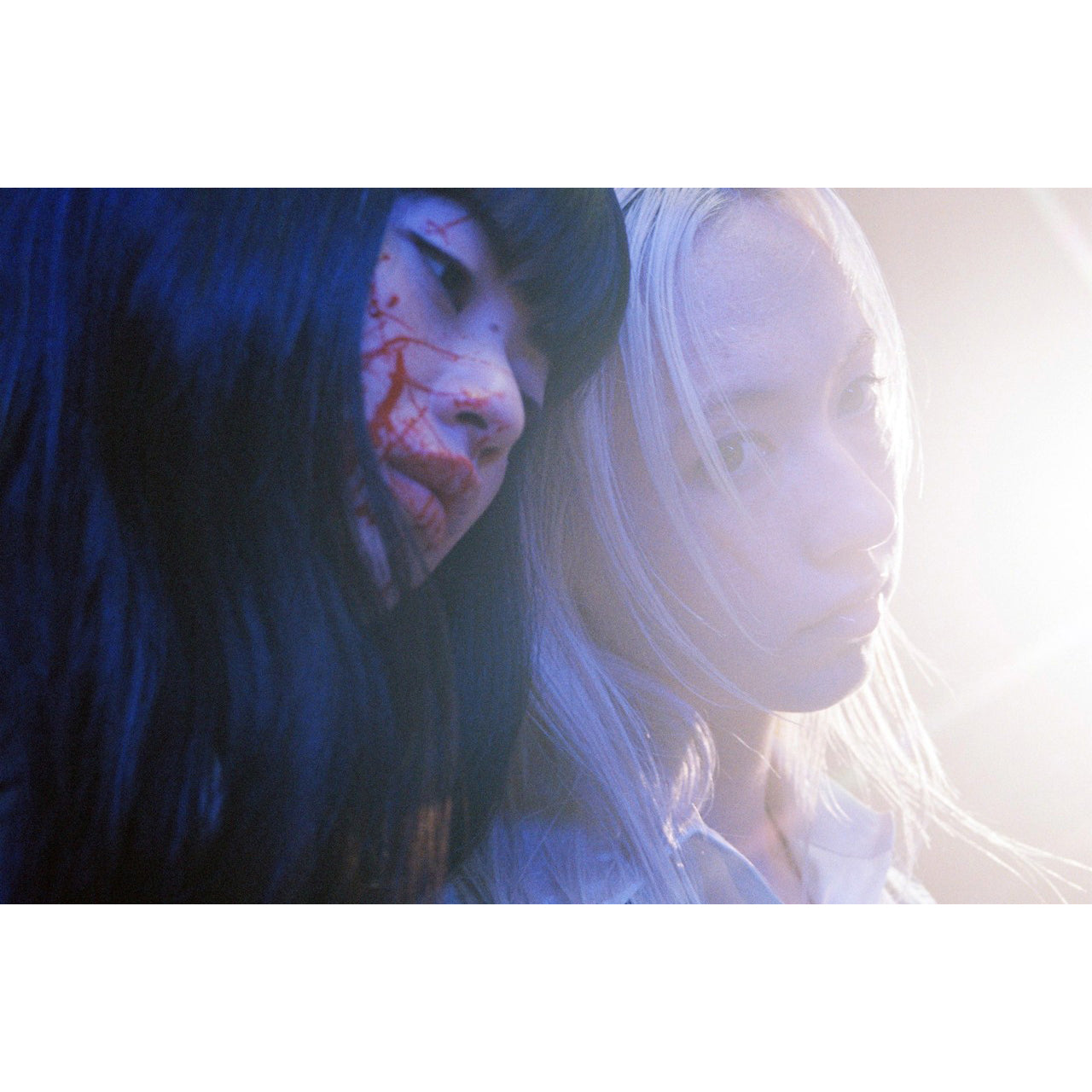Petra Collins: STAR