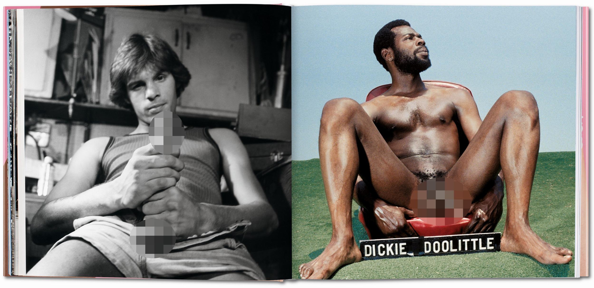 The Big Penis Book – Plastic Books