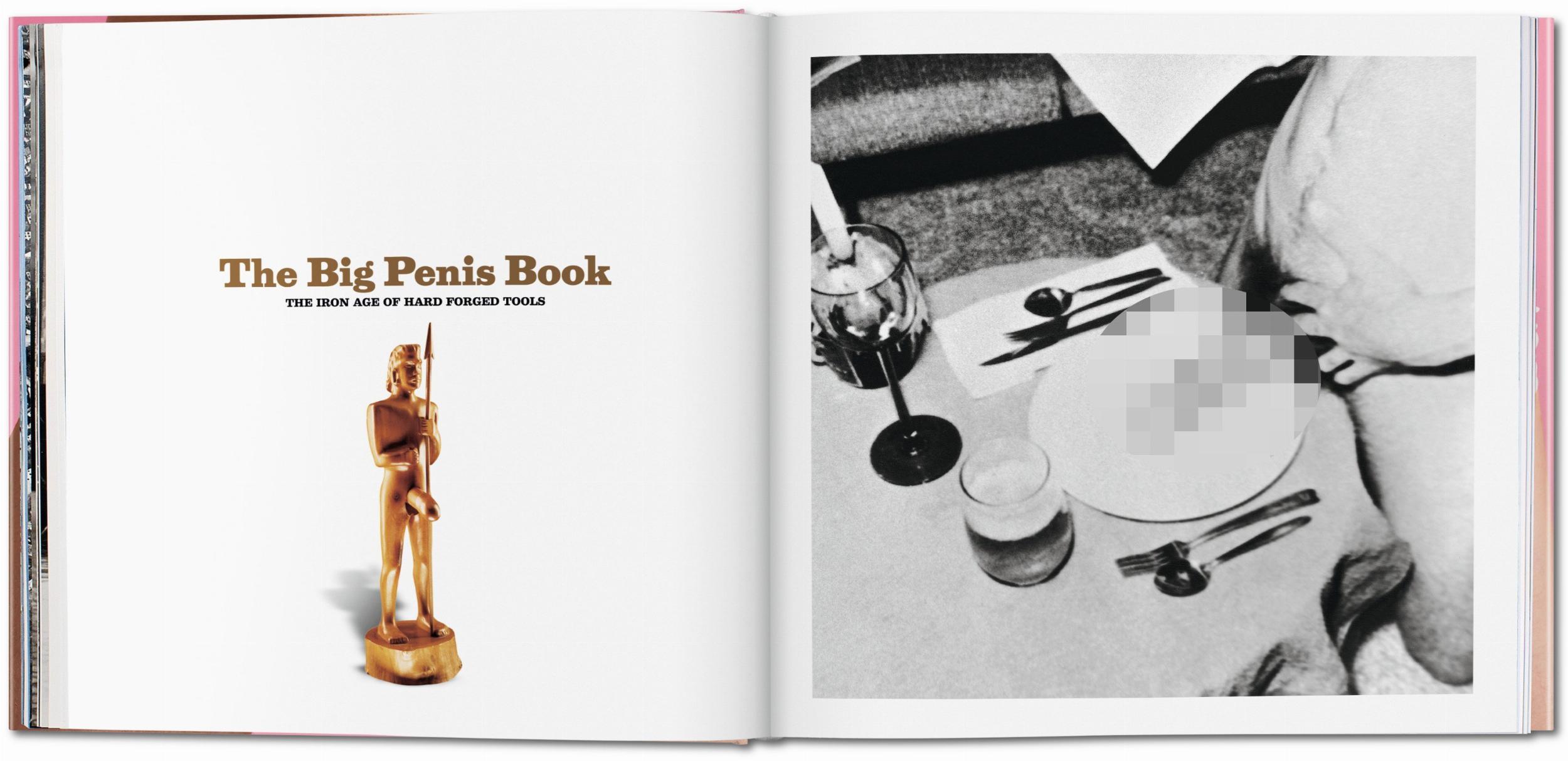 The Big Penis Book – Plastic Books