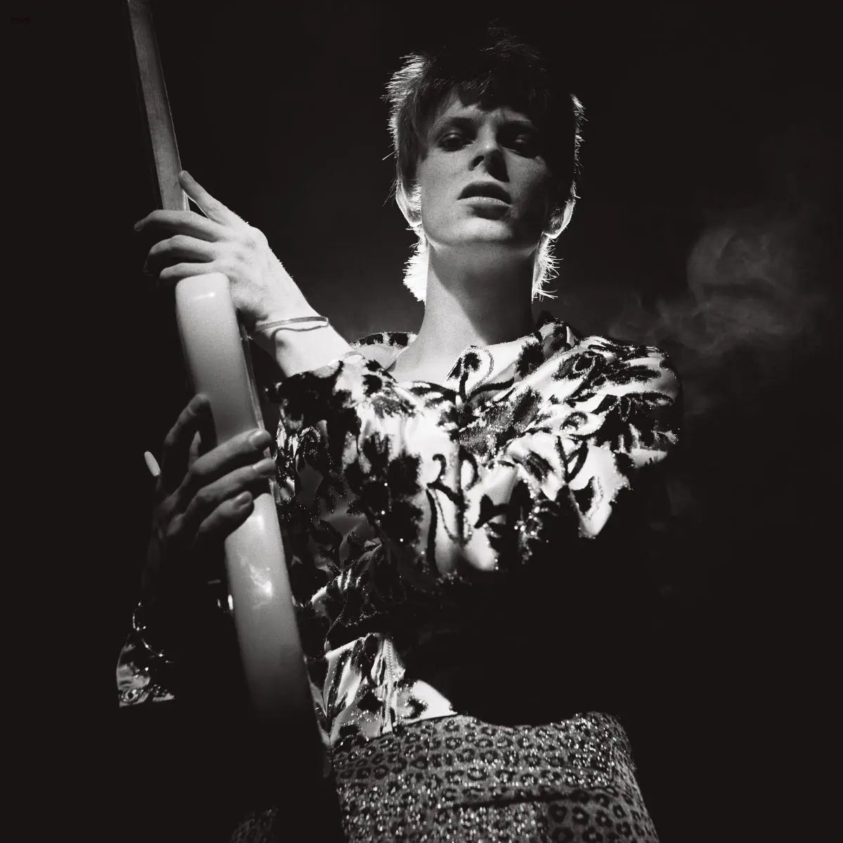 Rock 'n' Roll Star! – Plastic Books