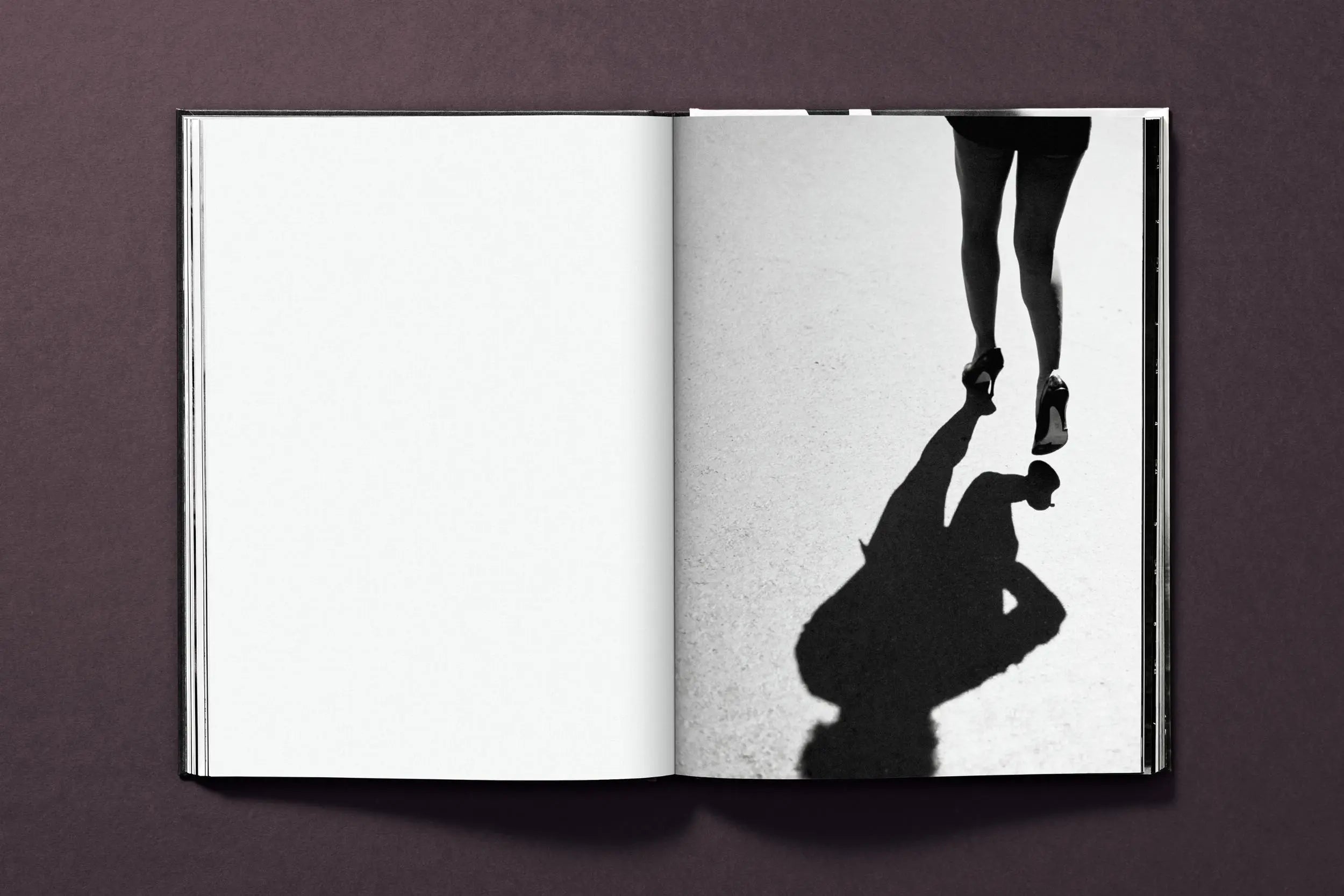 Tina Turner by Peter Lindbergh – Plastic Books